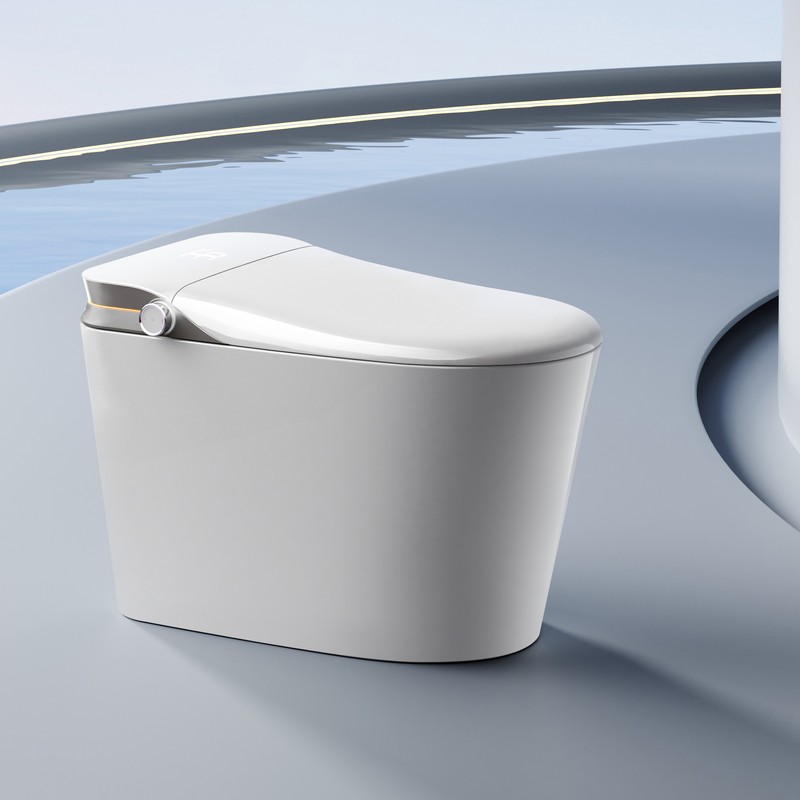 PZ-101 smart toilet