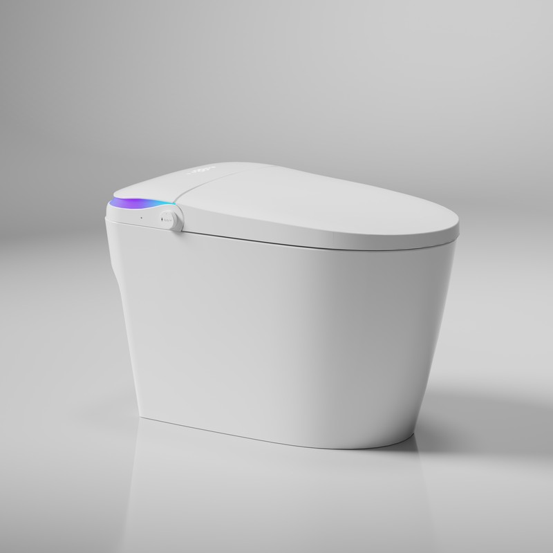PZ-107 smart toilet