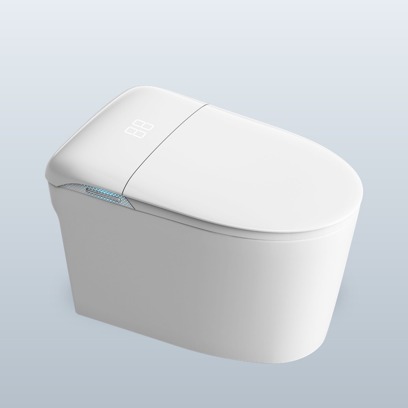 PZ-109 smart toilet