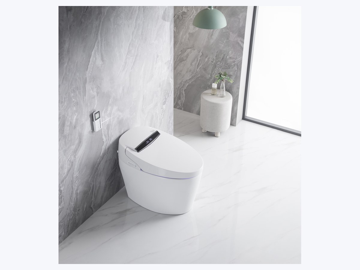 PZ-2014 smart toilet product view