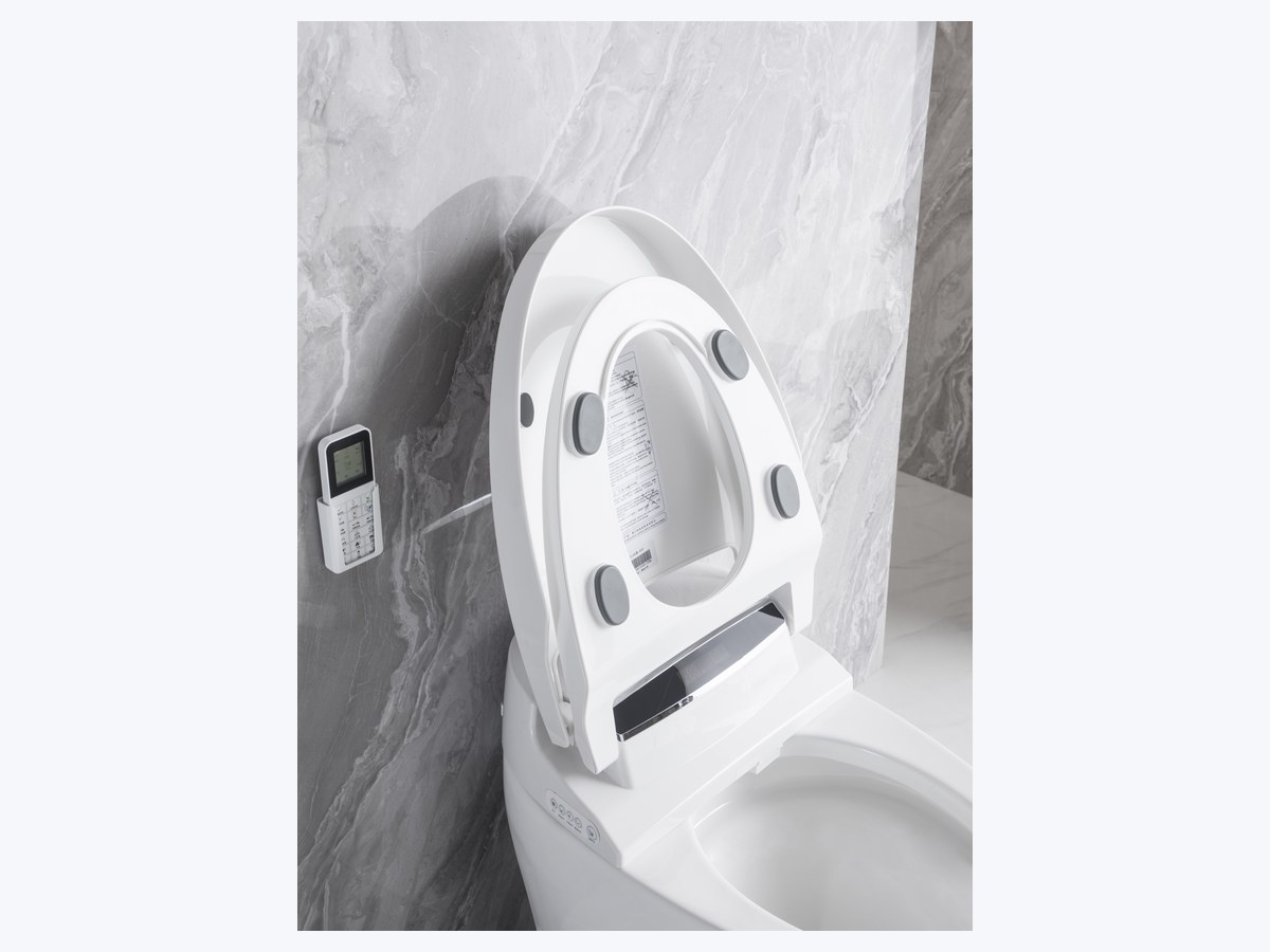 PZ-2014 smart toilet product view