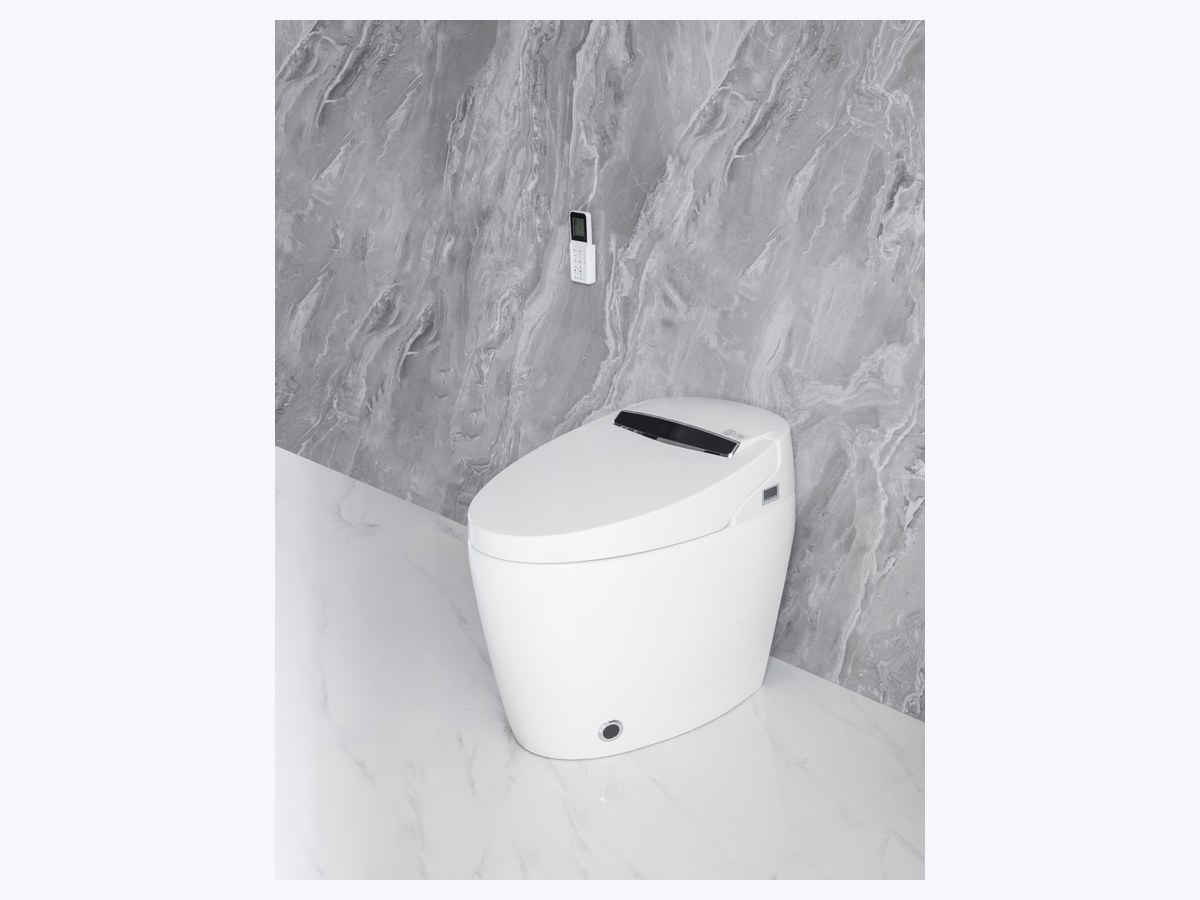 PZ-2014 smart toilet product view