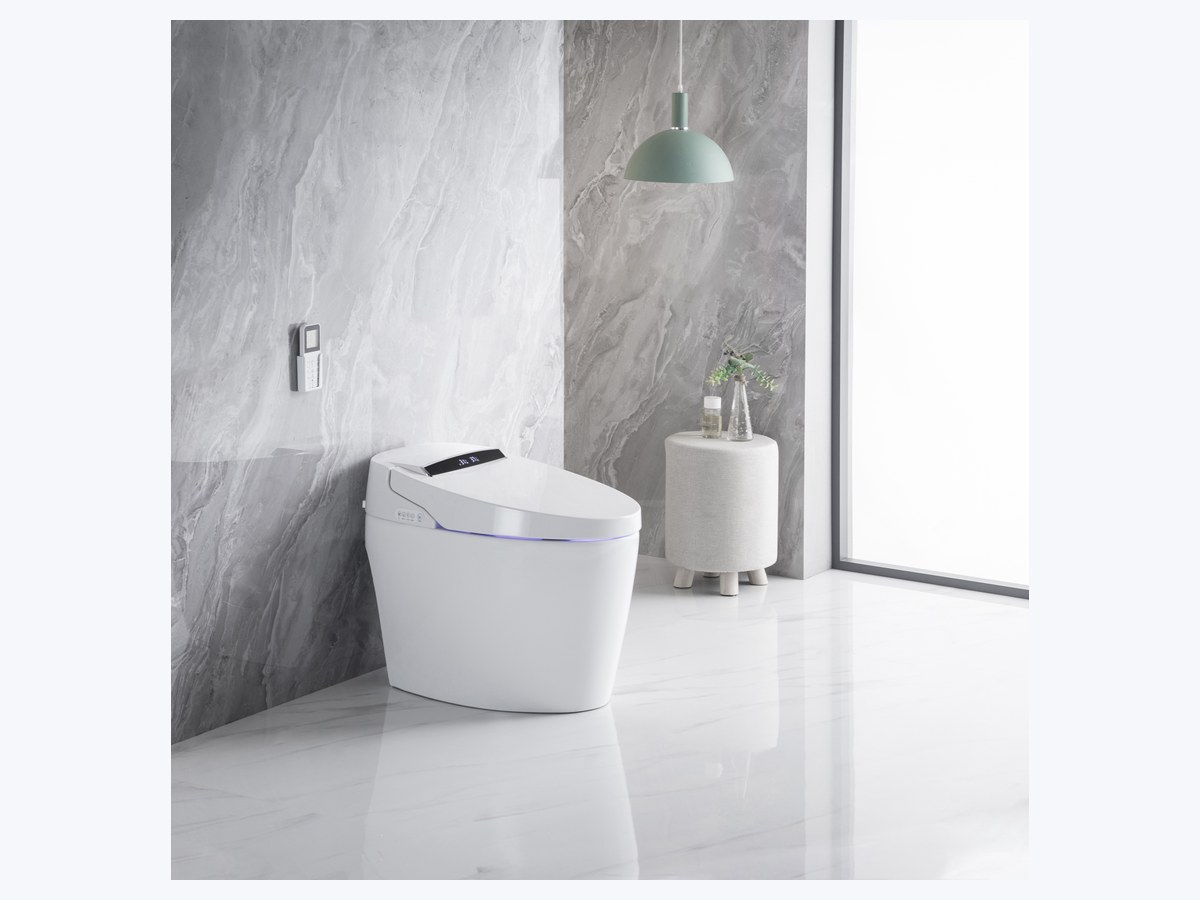 PZ-2014 smart toilet product view