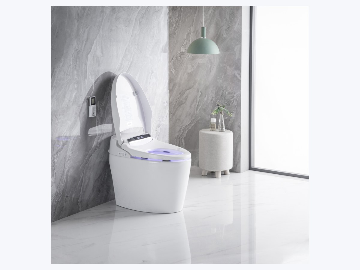 PZ-2014 smart toilet product view
