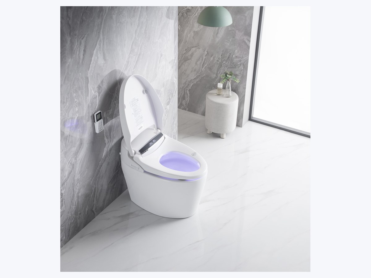 PZ-2014 smart toilet product view