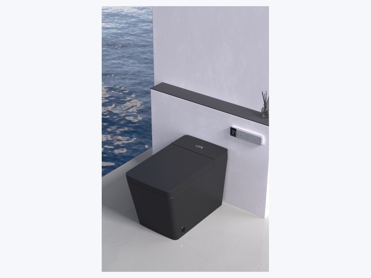 PZ-2044 smart toilet product view
