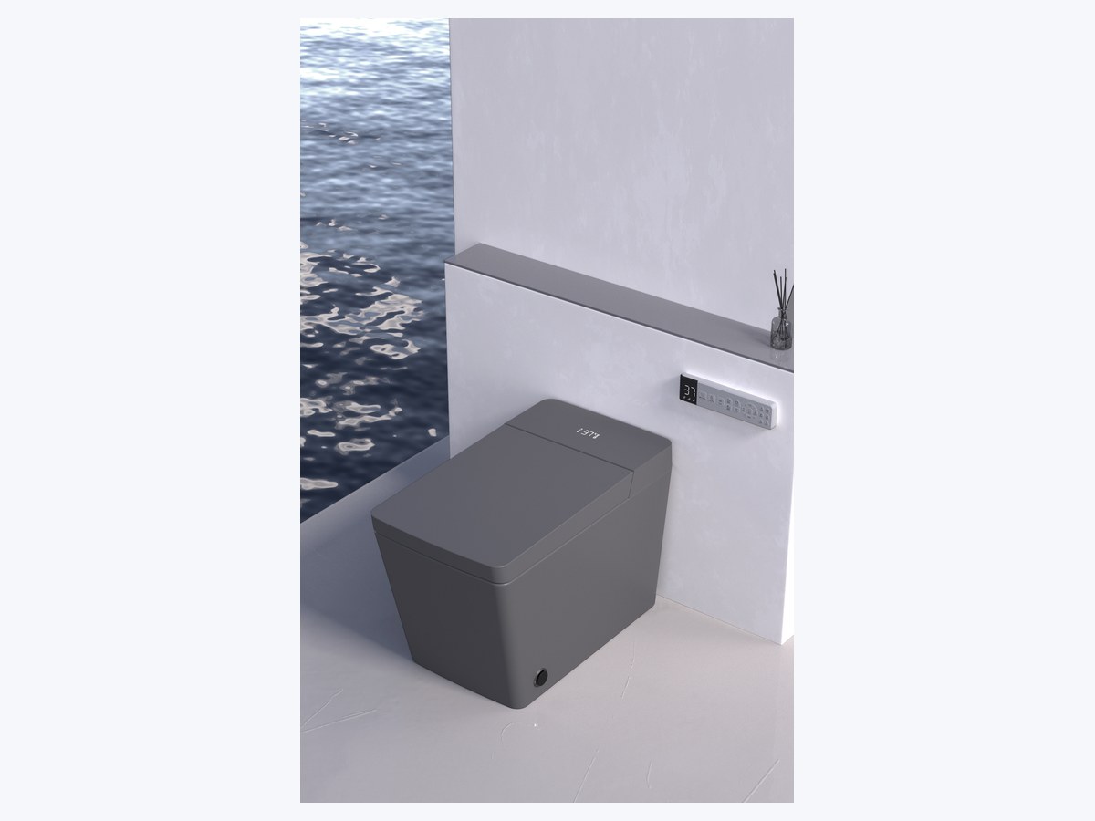 PZ-2044 smart toilet product view