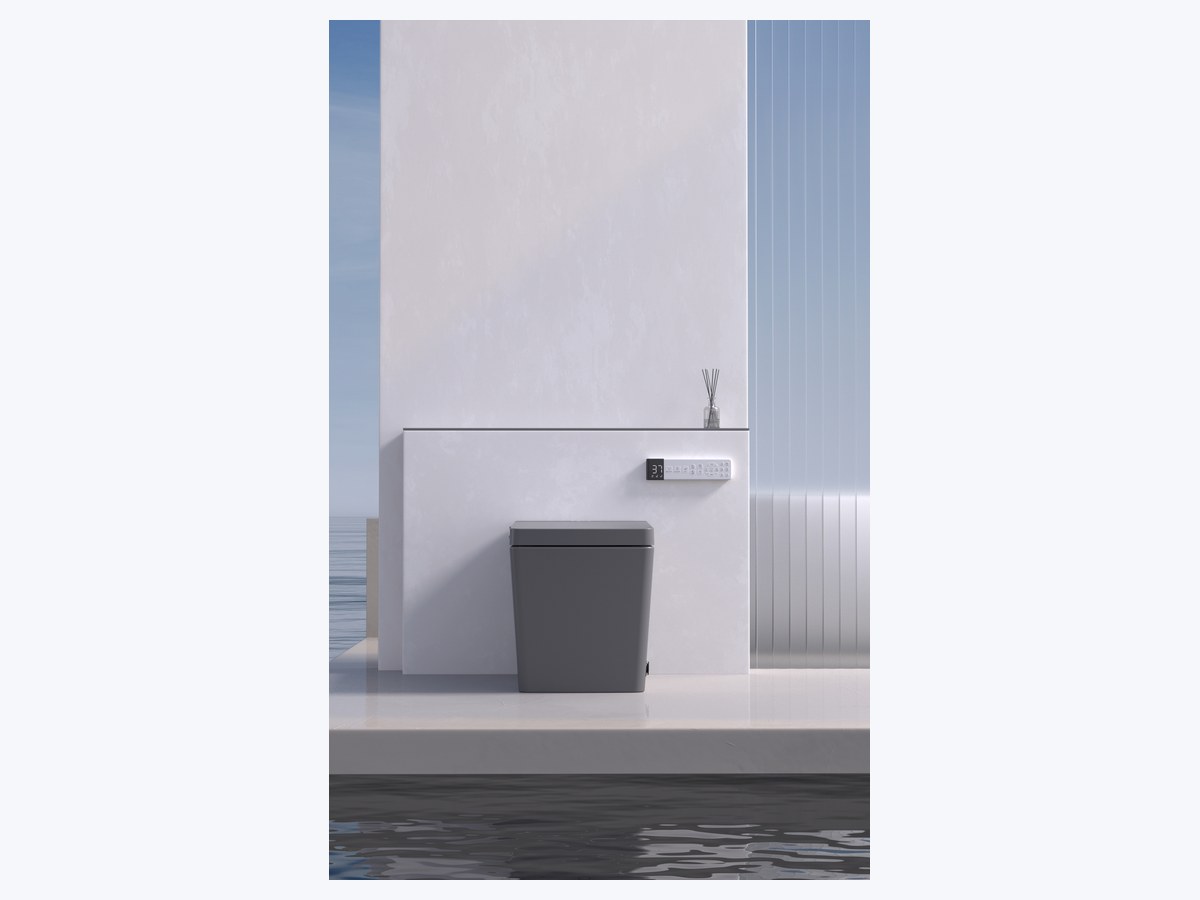 PZ-2044 smart toilet product view