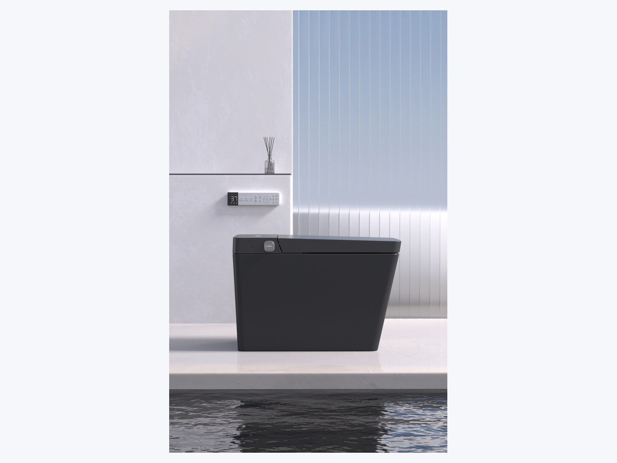 PZ-2044 smart toilet product view