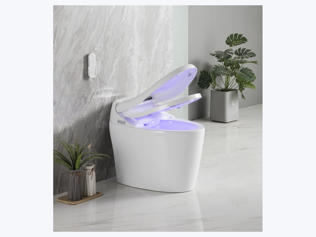 PZ-2208 smart toilet product view