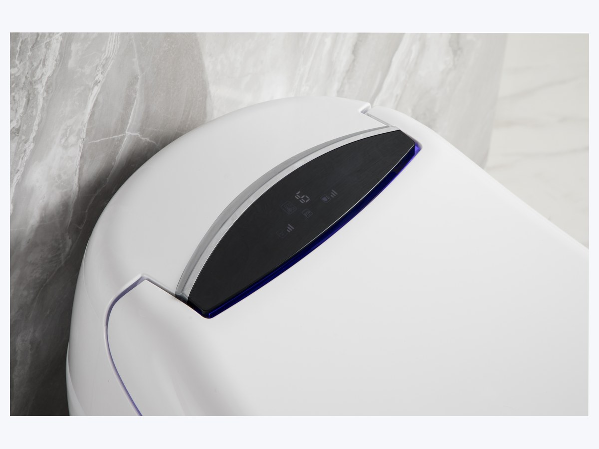 PZ-2208 smart toilet product view