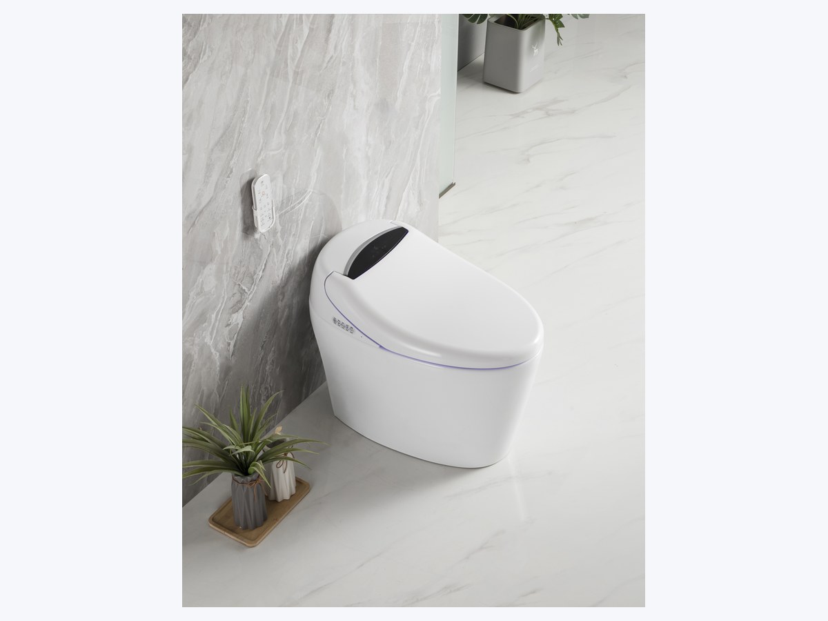 PZ-2208 smart toilet product view