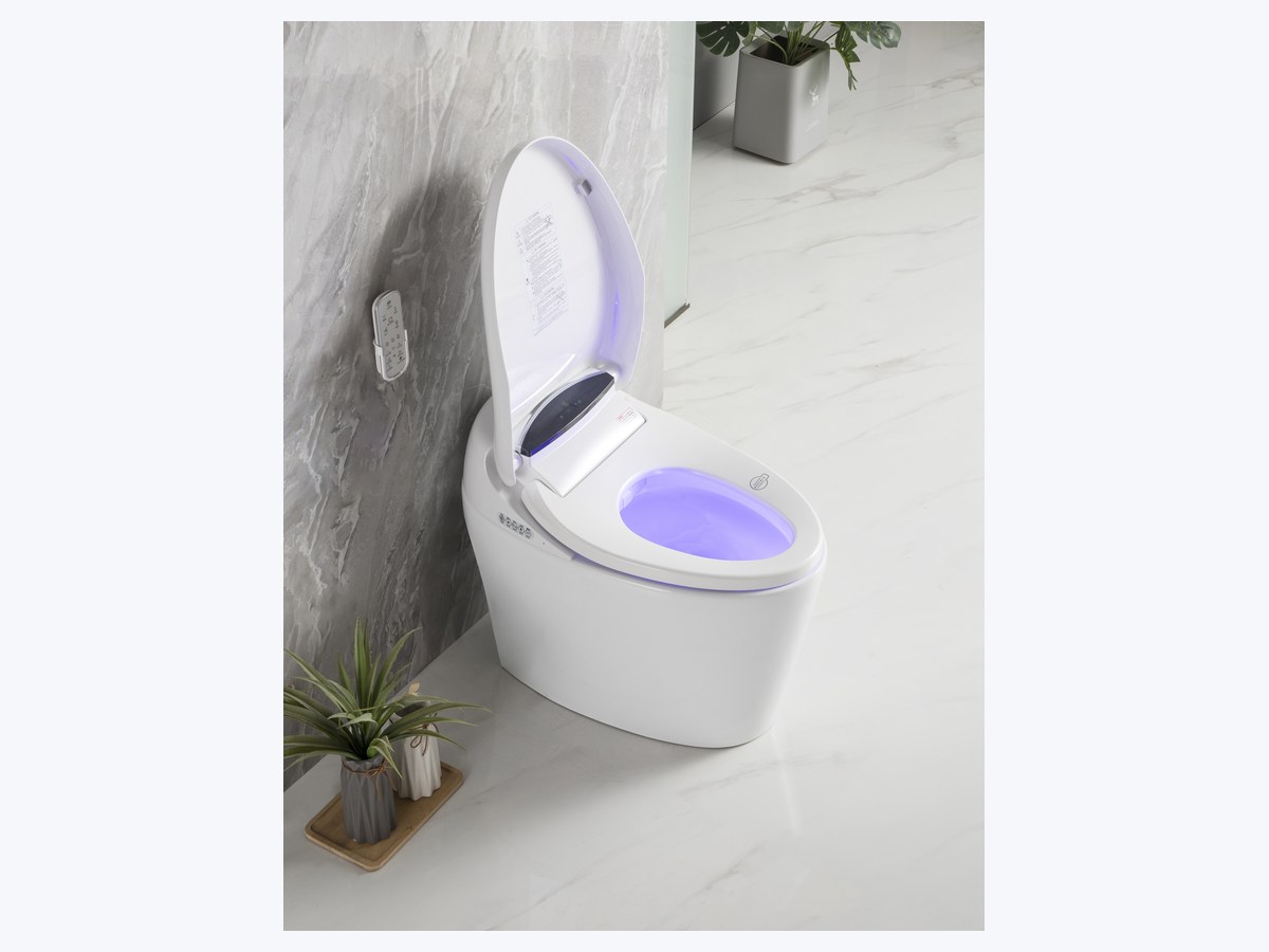 PZ-2208 smart toilet product view