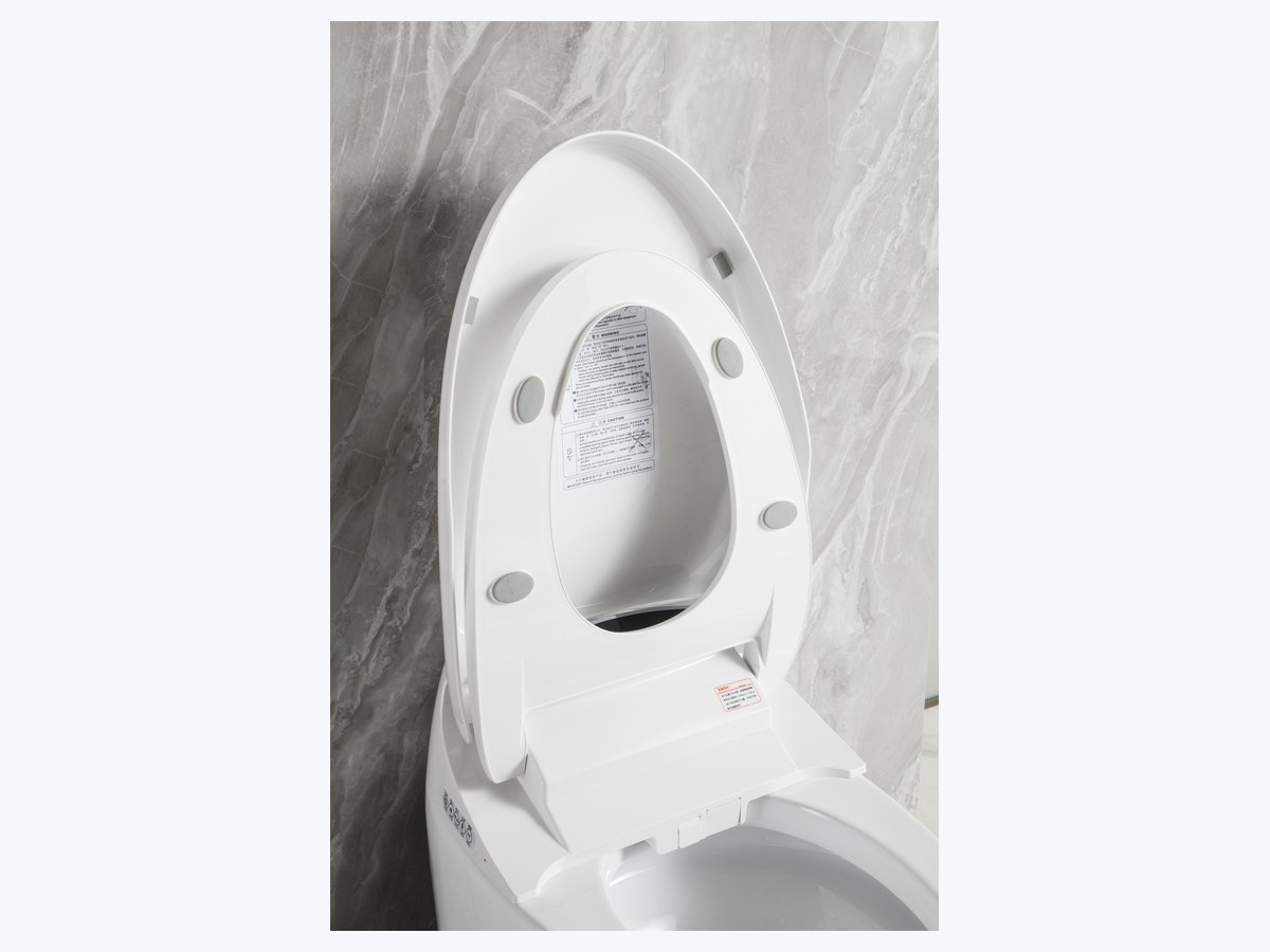 PZ-2208 smart toilet product view