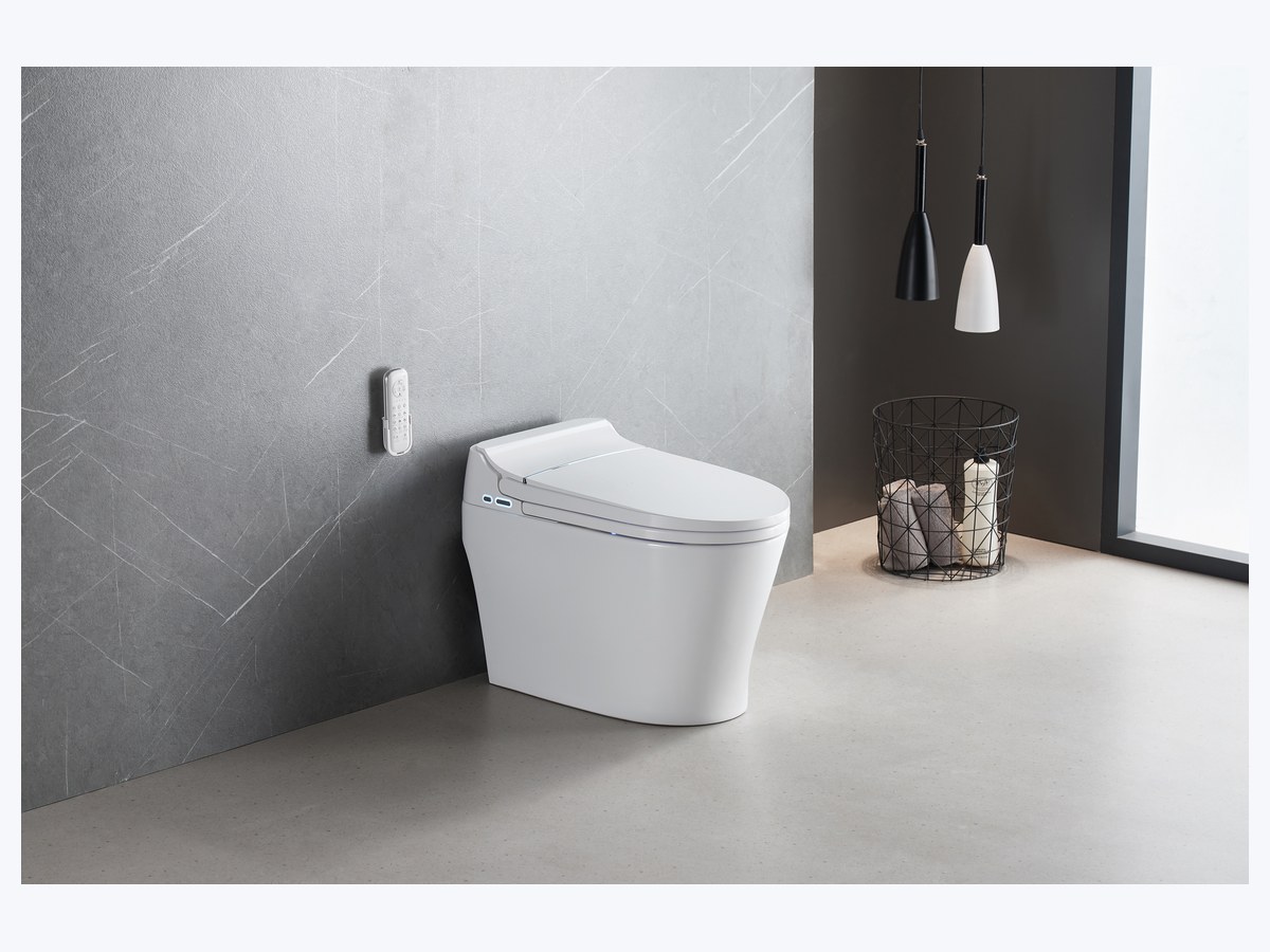PZ-2209 smart toilet product view