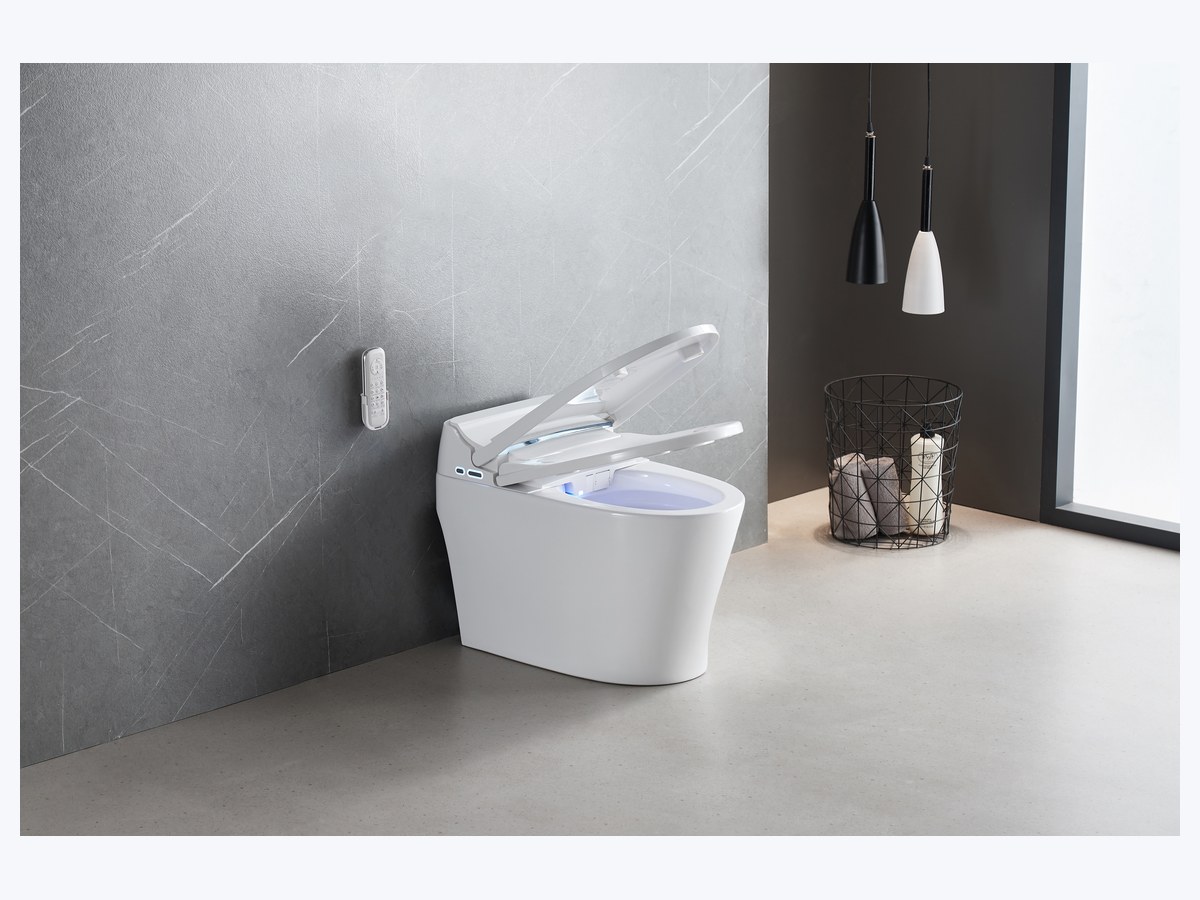 PZ-2209 smart toilet product view