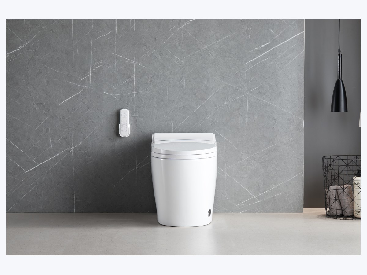 PZ-2209 smart toilet product view