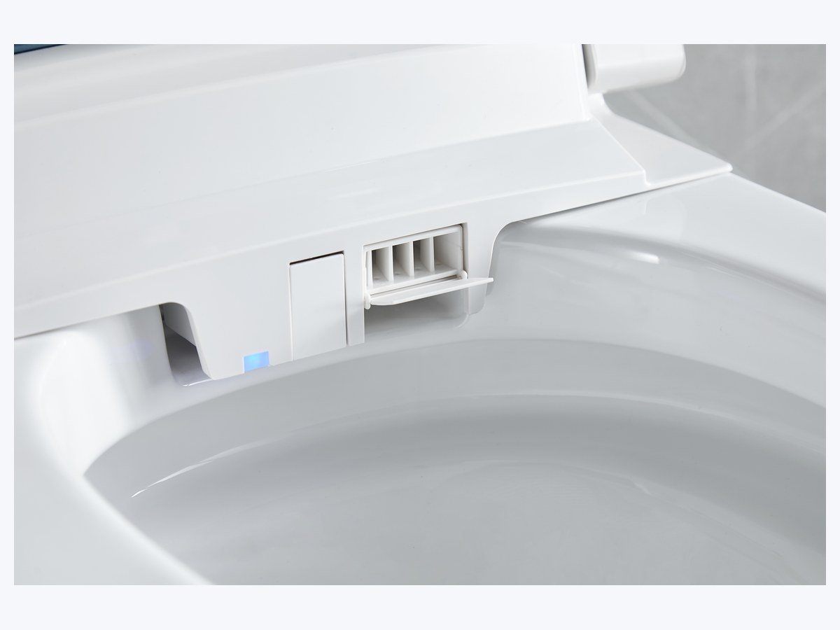 PZ-2209 smart toilet product view