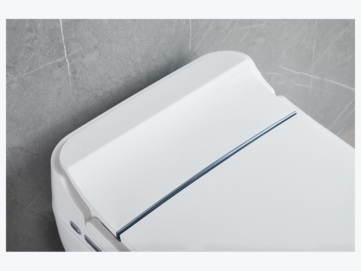 PZ-2209 smart toilet product view