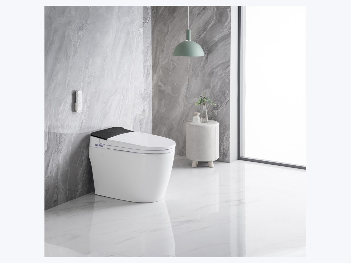 PZ-2213 smart toilet product view