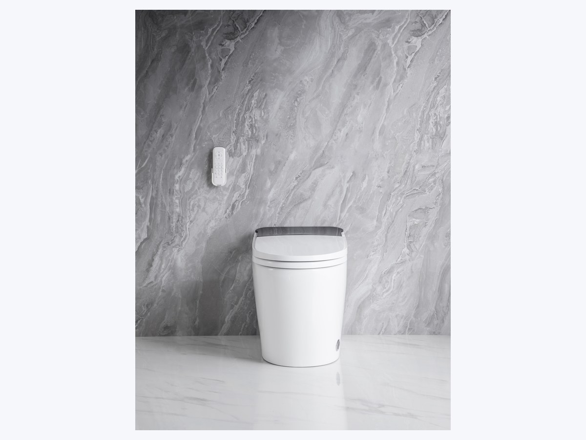 PZ-2213 smart toilet product view