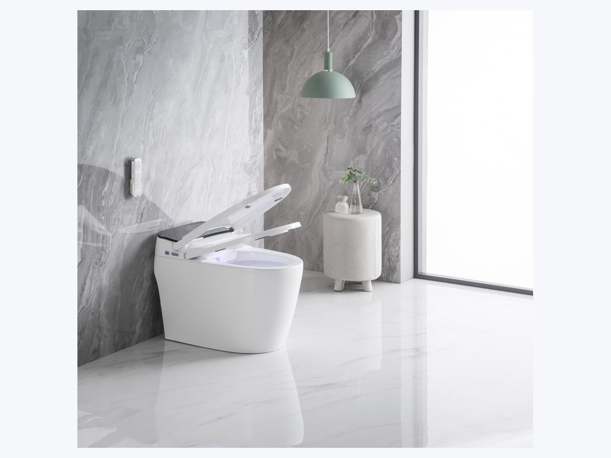 PZ-2213 smart toilet product view