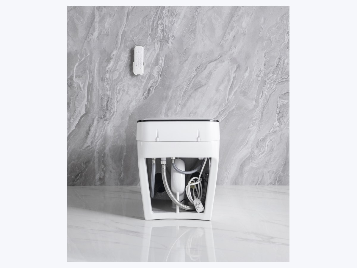 PZ-2213 smart toilet product view