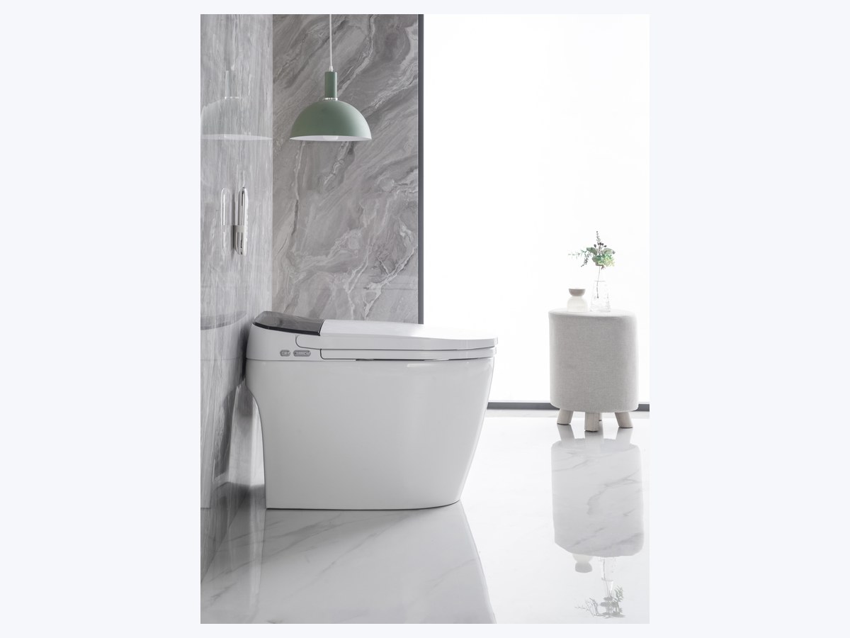 PZ-2213 smart toilet product view