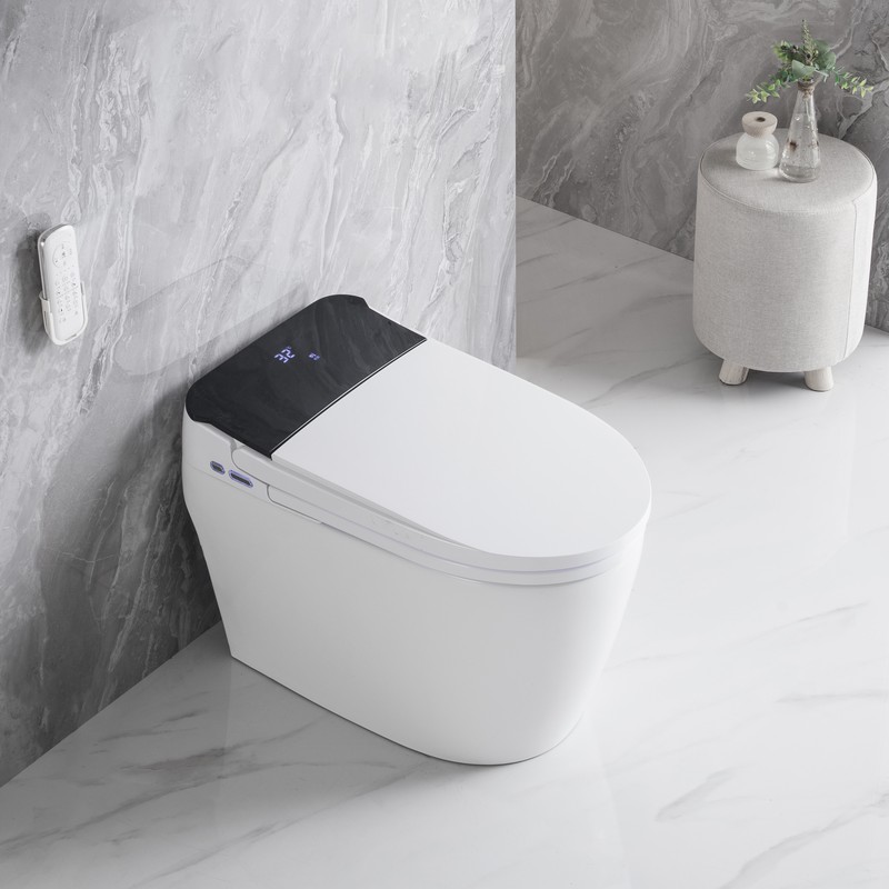 PZ-2213 smart toilet