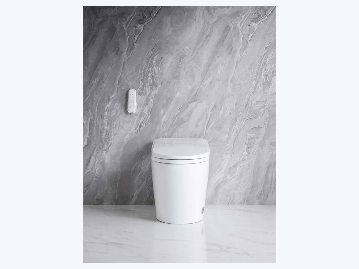 PZ-2230 smart toilet product view