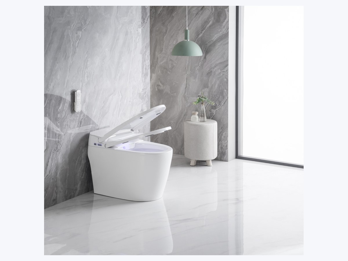 PZ-2230 smart toilet product view