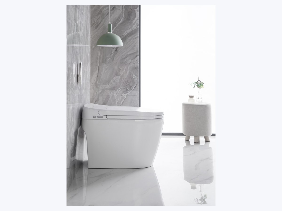 PZ-2230 smart toilet product view