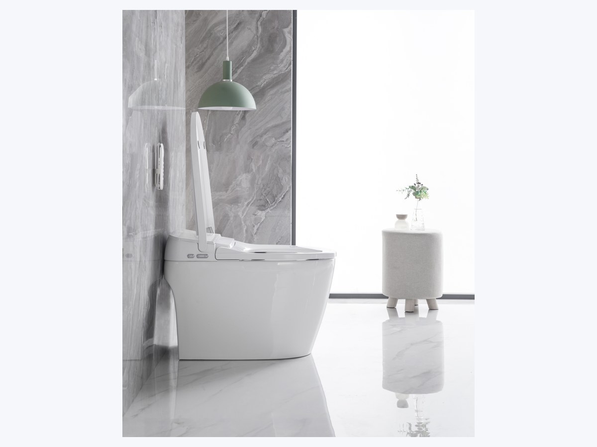 PZ-2230 smart toilet product view