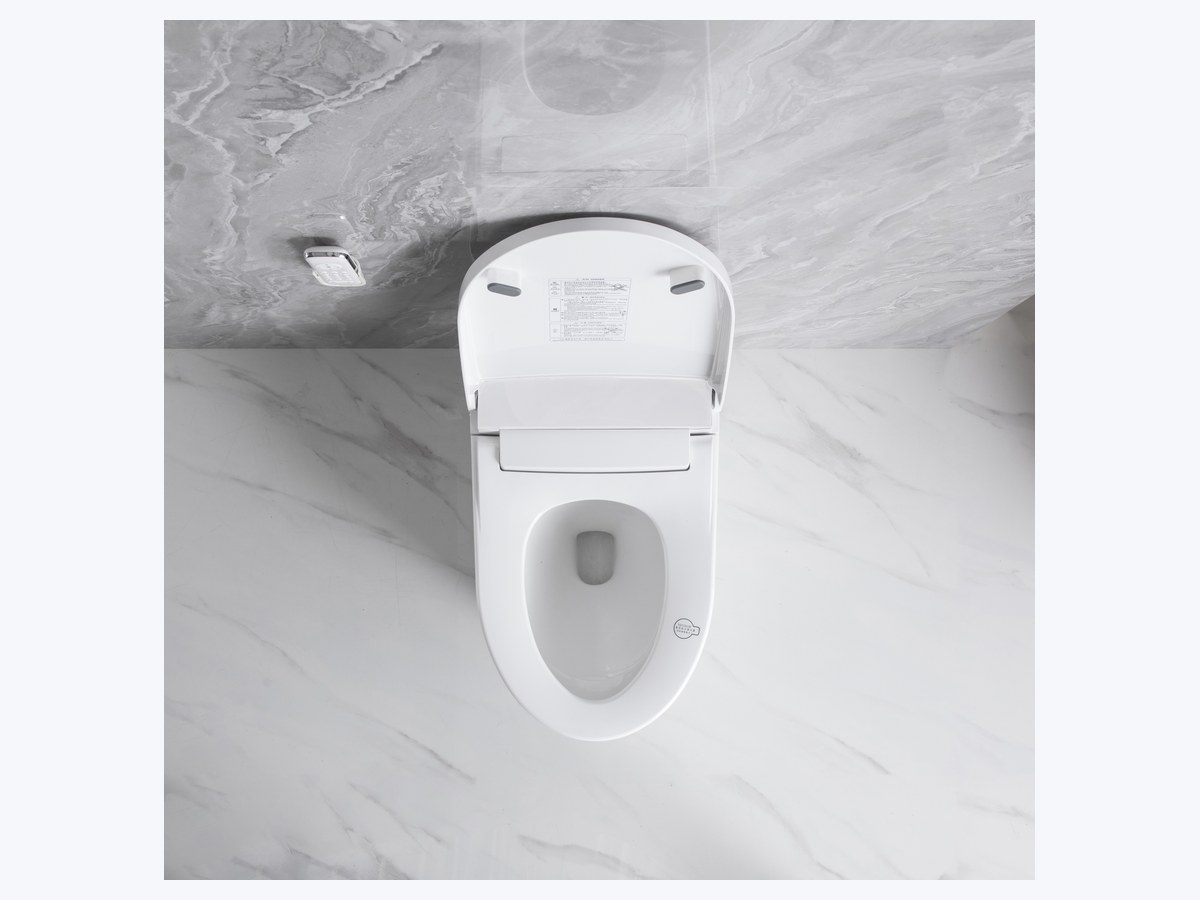 PZ-2230 smart toilet product view