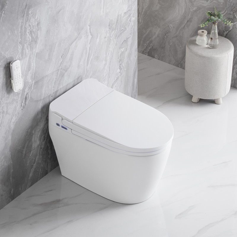 PZ-2230 smart toilet