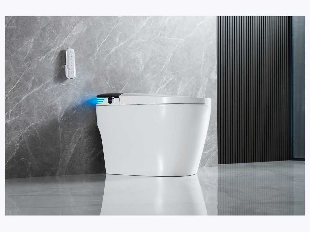 PZ-2240 smart toilet product view