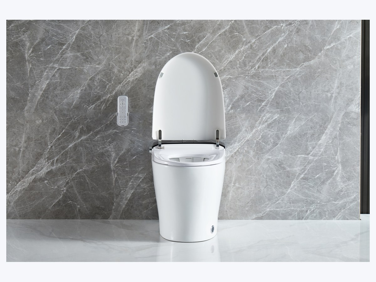 PZ-2240 smart toilet product view