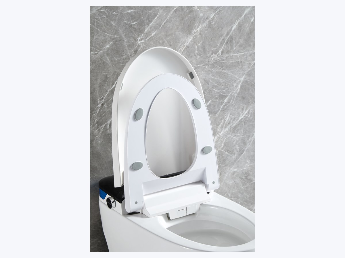 PZ-2240 smart toilet product view