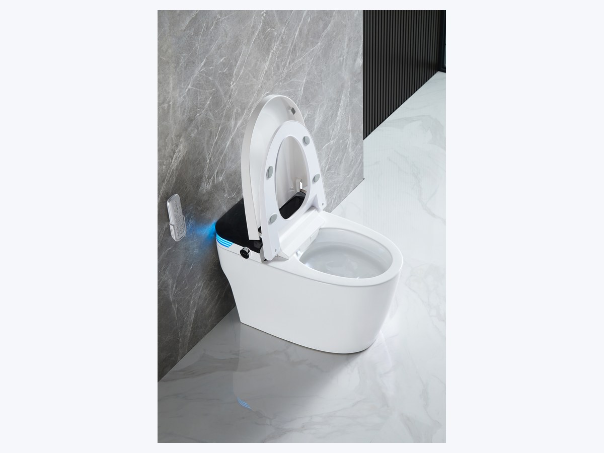 PZ-2240 smart toilet product view