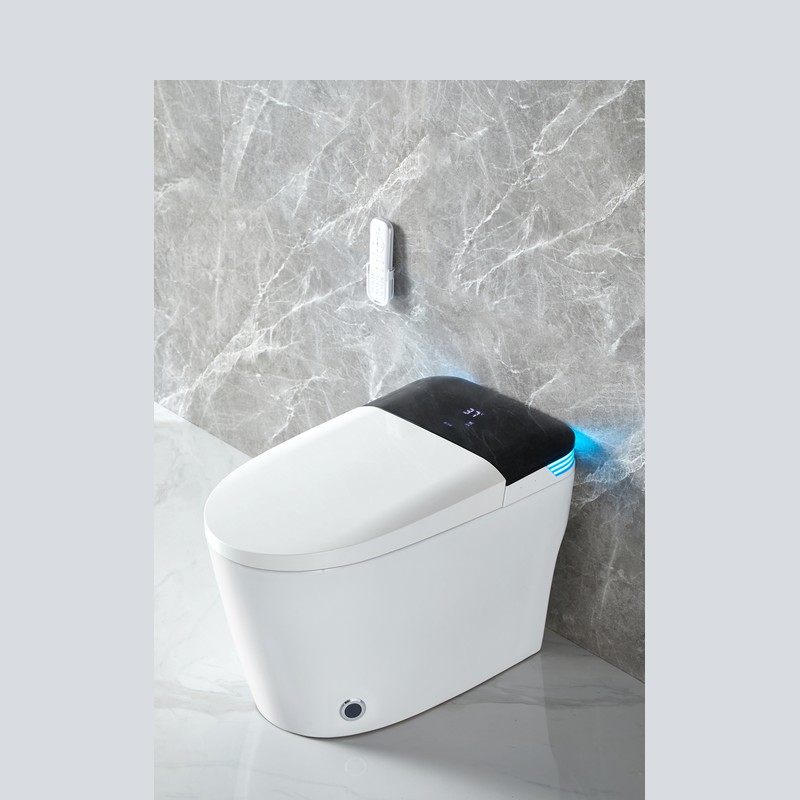 PZ-2240 smart toilet