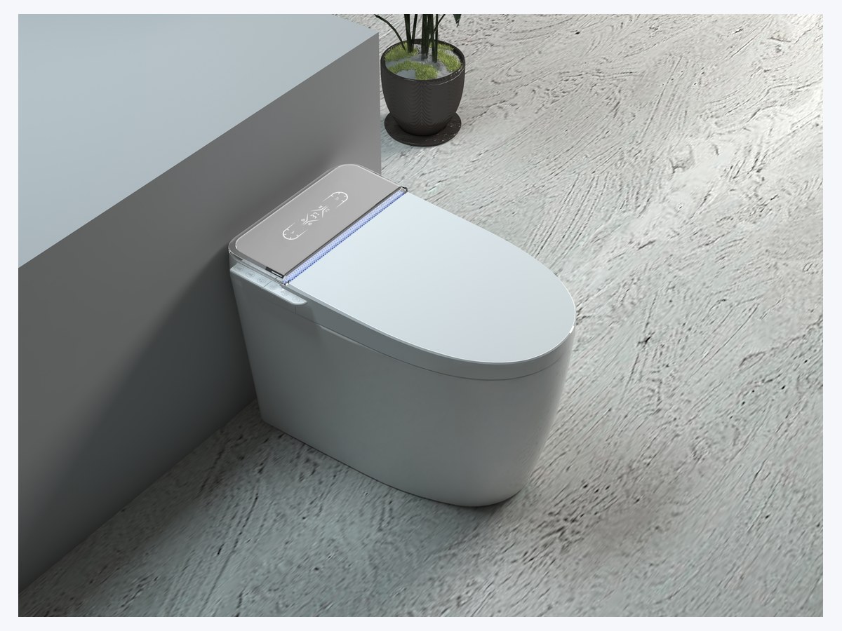 PZ-956E smart toilet product view