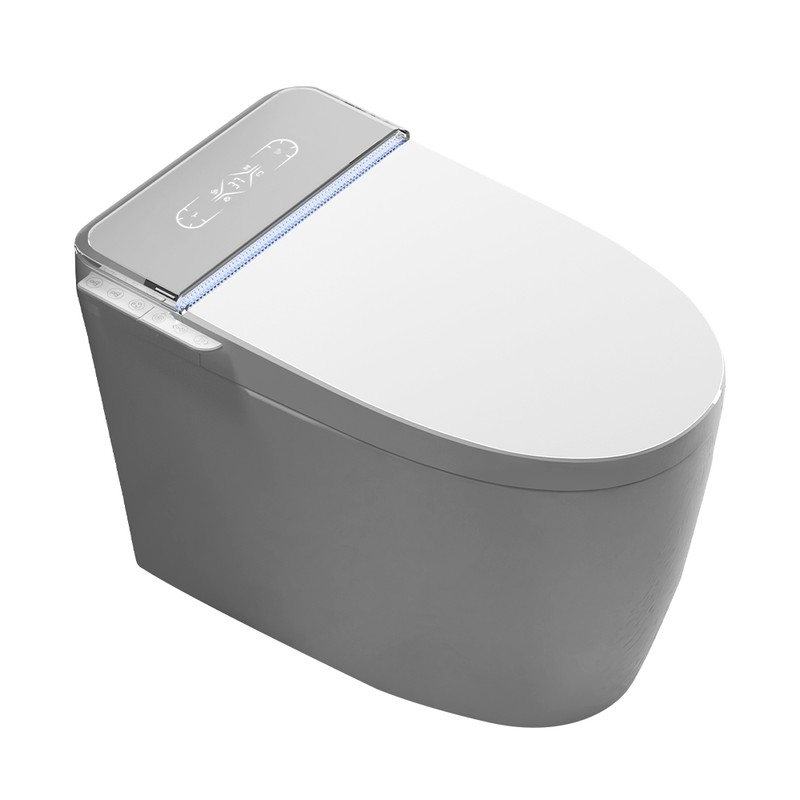 PZ-956E smart toilet
