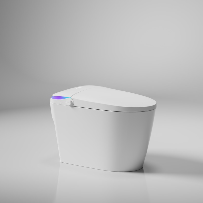PZ-E6E smart toilet