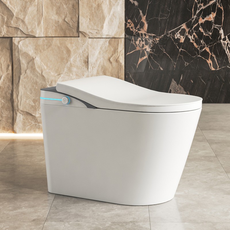 PZ-102 smart toilet