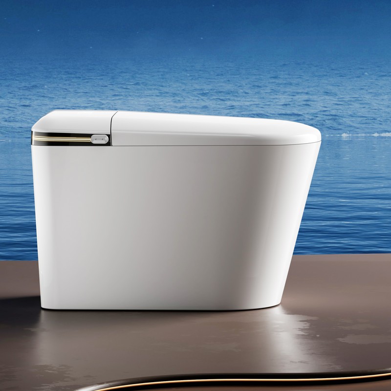 PZ-103 smart toilet