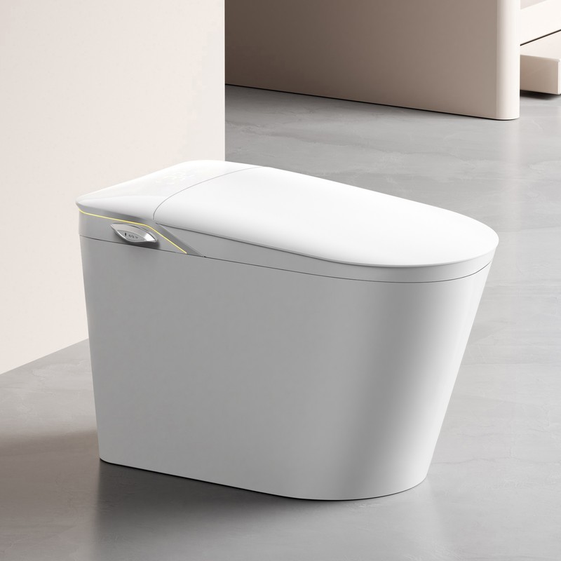 PZ-105 smart toilet