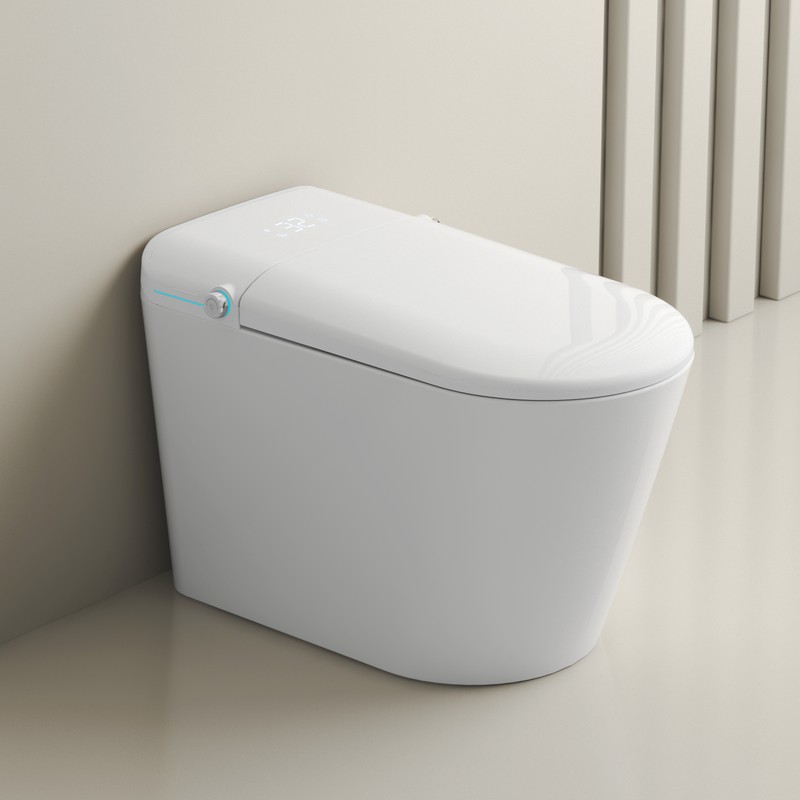 PZ-114 smart toilet