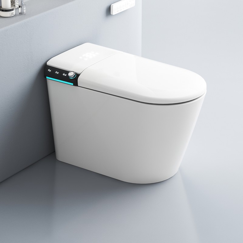 PZ-119 smart toilet