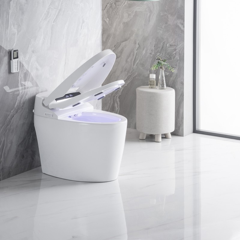 PZ-2014 smart toilet