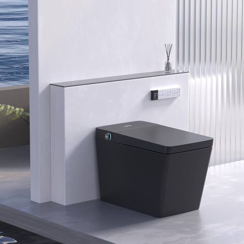 PZ-2044 smart toilet